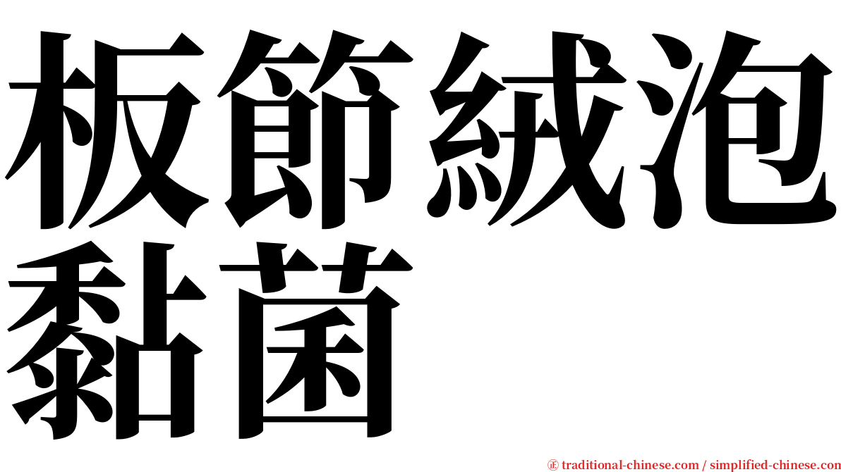 板節絨泡黏菌 serif font