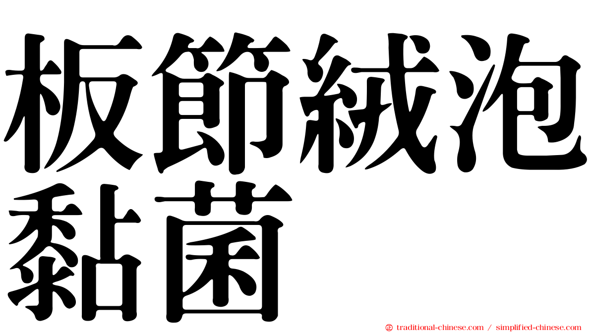板節絨泡黏菌
