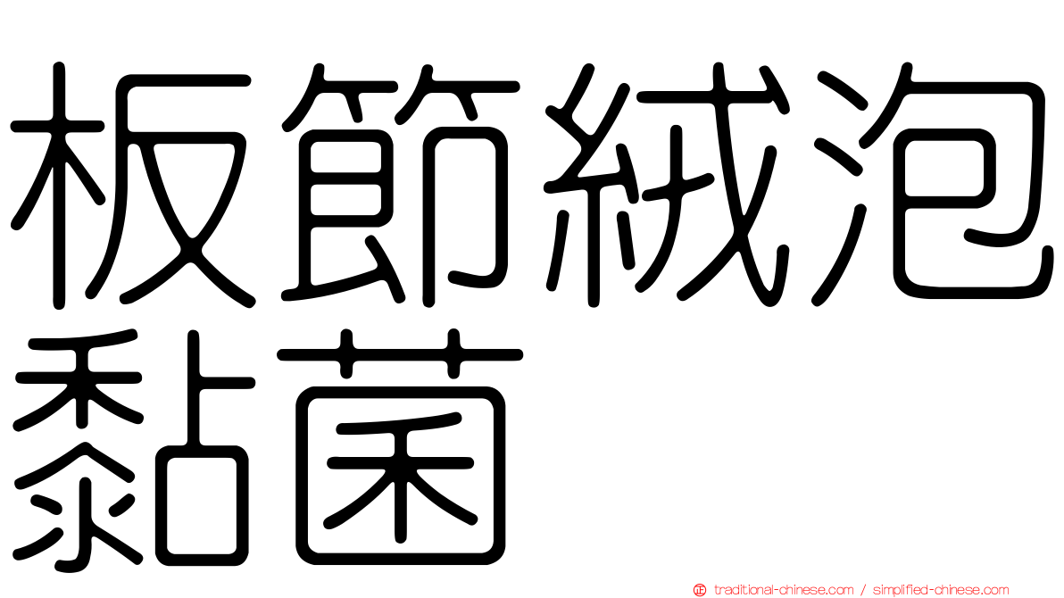 板節絨泡黏菌