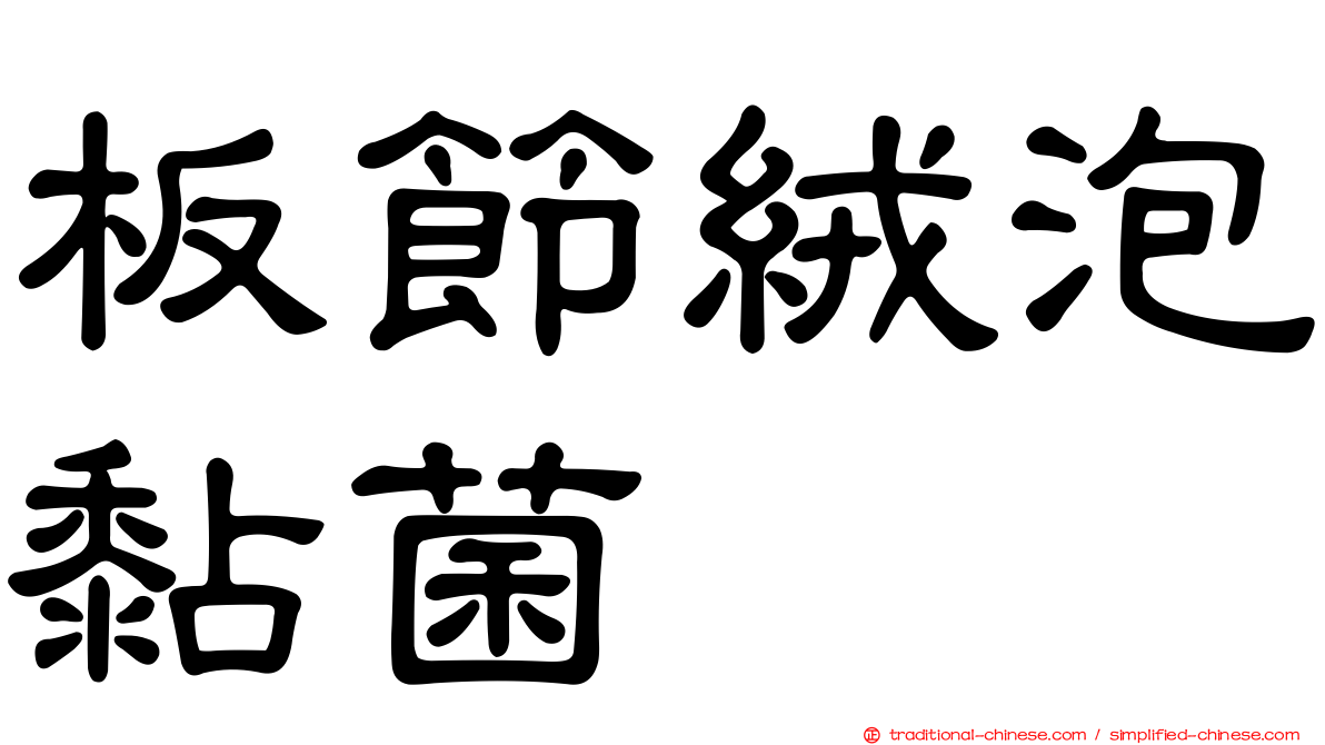 板節絨泡黏菌
