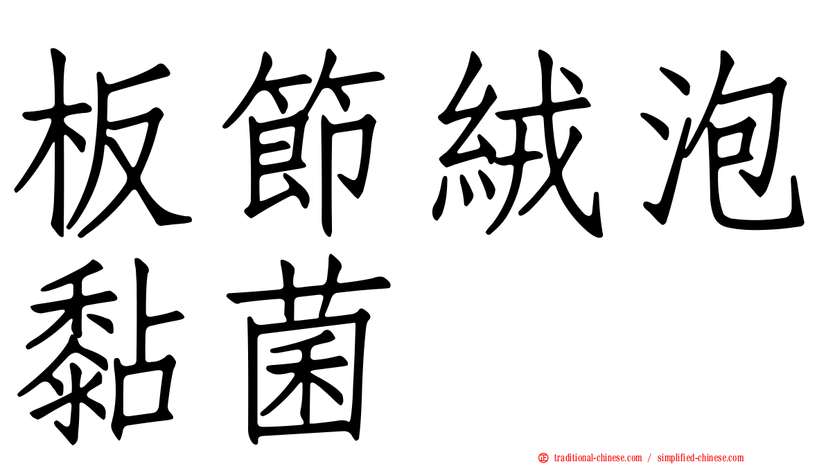 板節絨泡黏菌