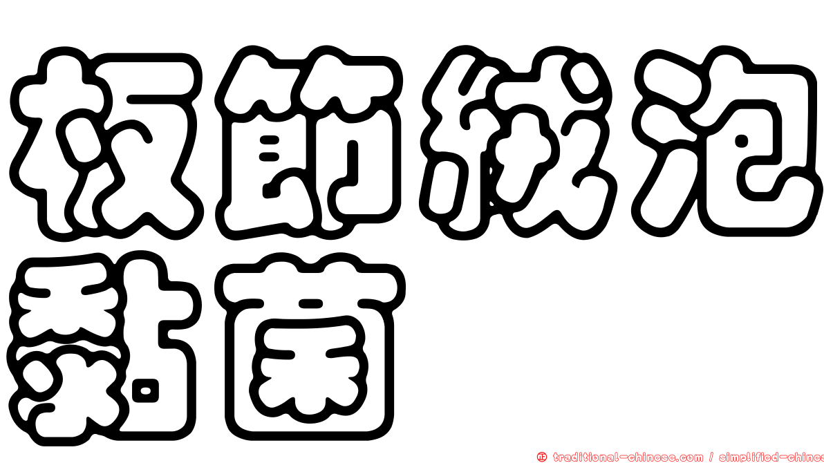 板節絨泡黏菌
