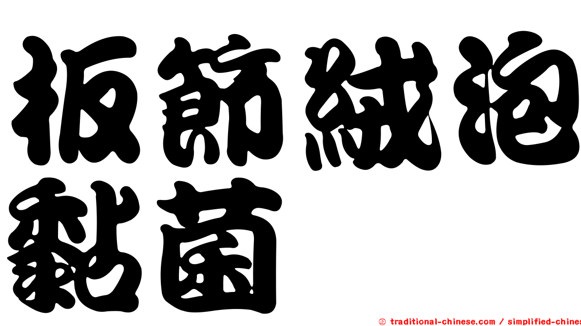 板節絨泡黏菌