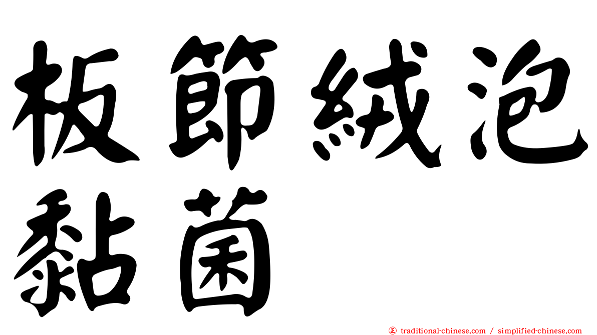 板節絨泡黏菌