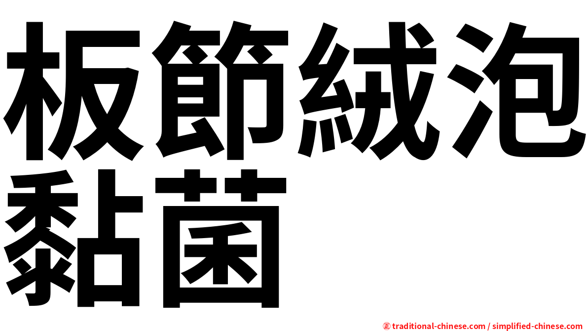 板節絨泡黏菌