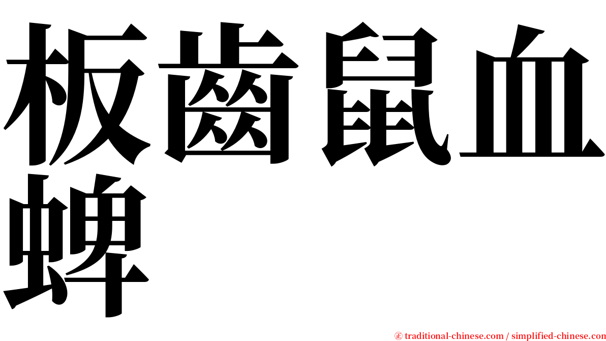 板齒鼠血蜱 serif font