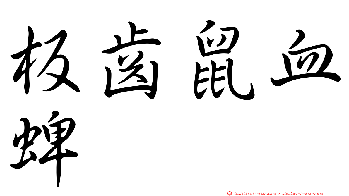 板齒鼠血蜱