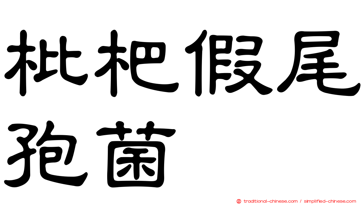 枇杷假尾孢菌