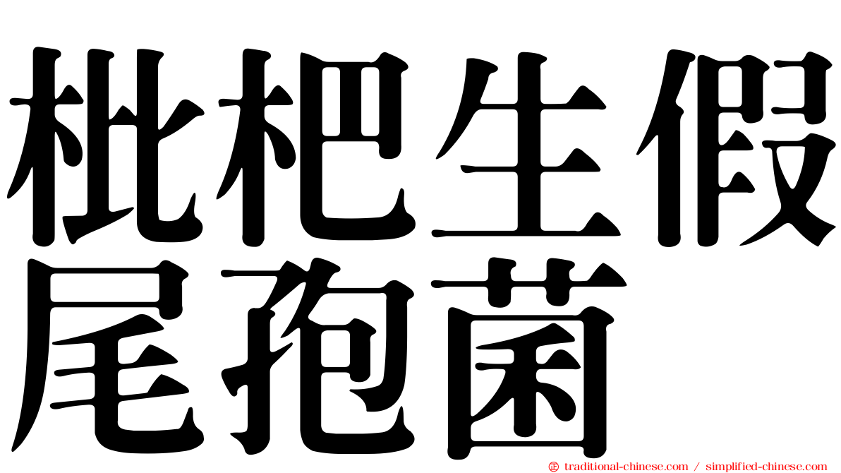枇杷生假尾孢菌