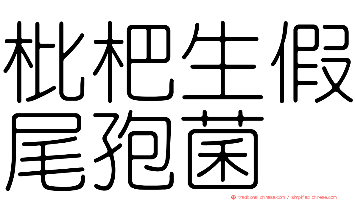 枇杷生假尾孢菌
