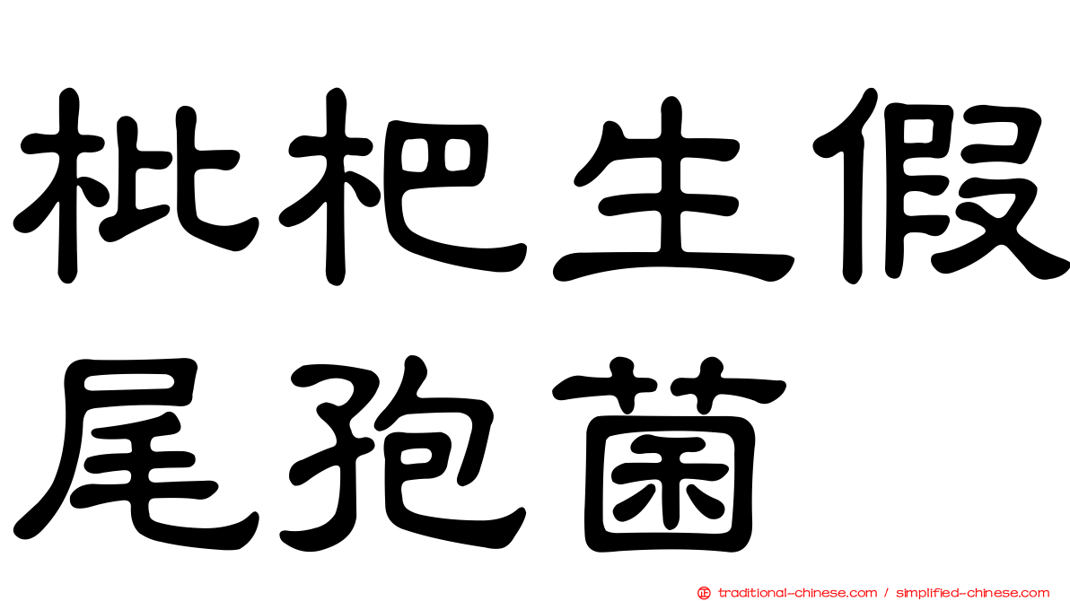 枇杷生假尾孢菌