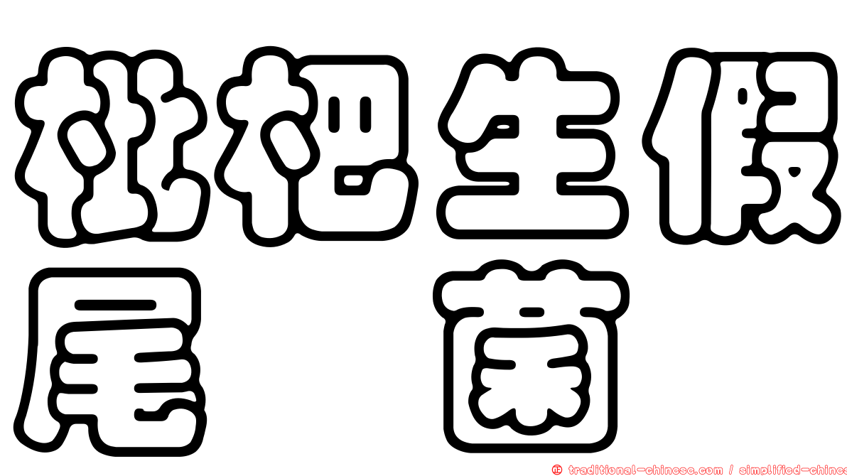 枇杷生假尾孢菌