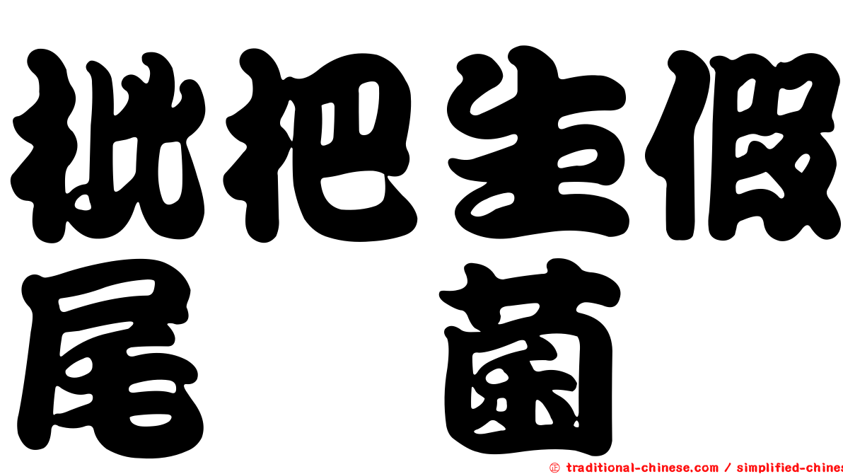 枇杷生假尾孢菌
