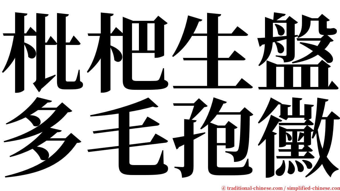 枇杷生盤多毛孢黴 serif font