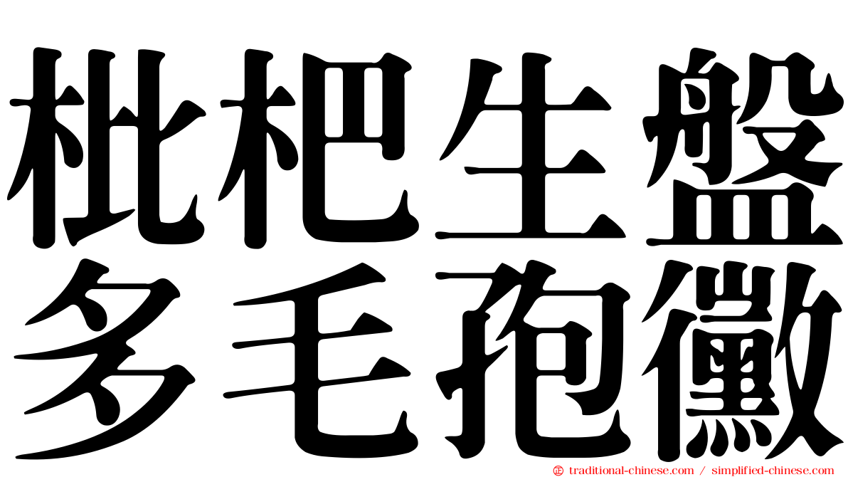 枇杷生盤多毛孢黴
