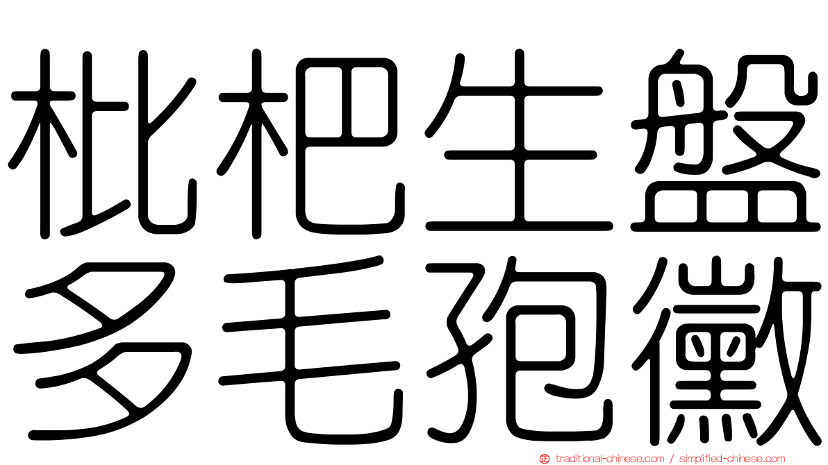 枇杷生盤多毛孢黴
