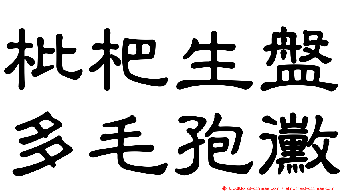 枇杷生盤多毛孢黴