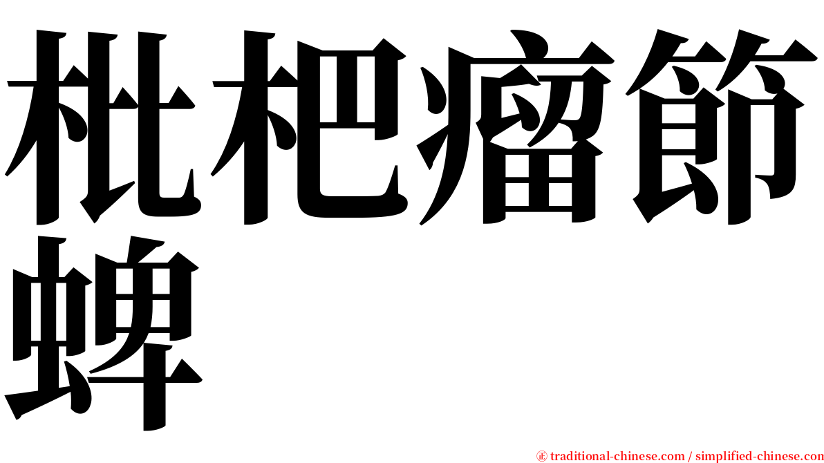 枇杷瘤節蜱 serif font