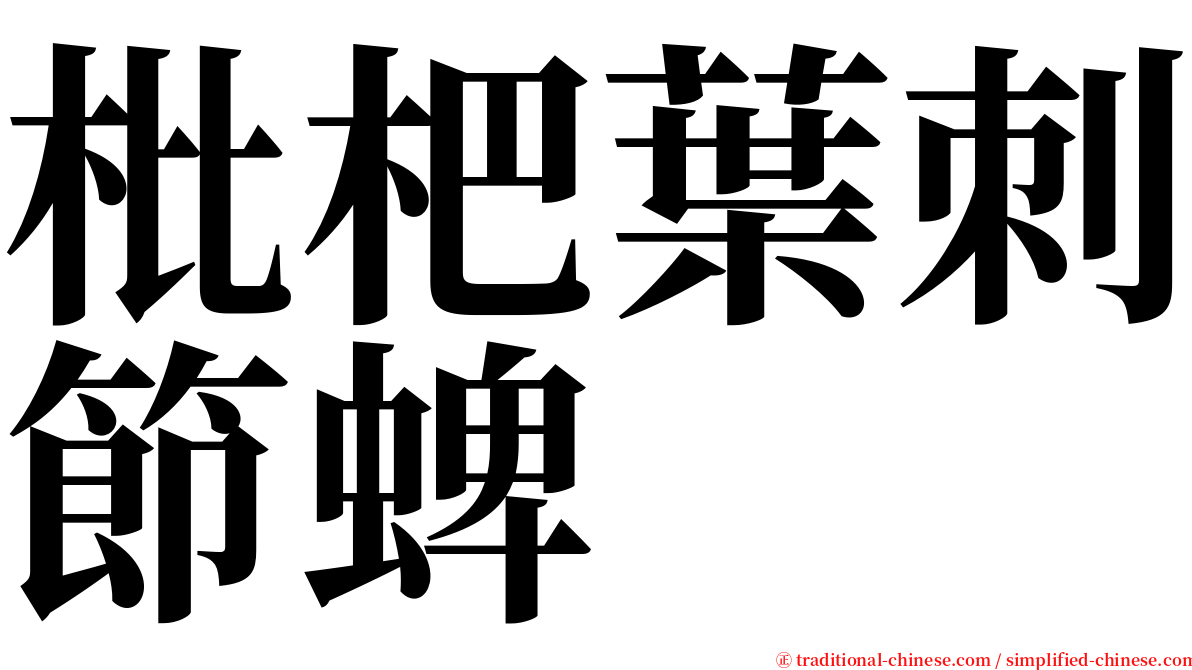 枇杷葉刺節蜱 serif font