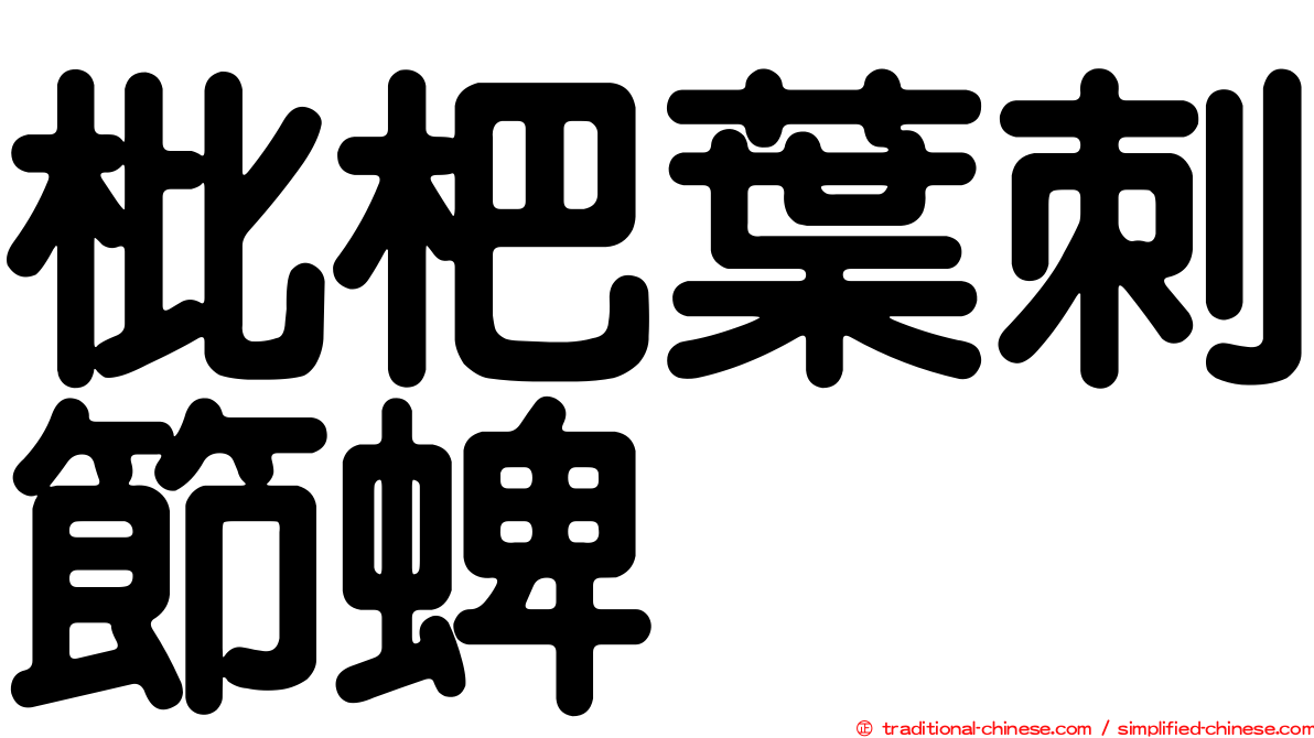 枇杷葉刺節蜱