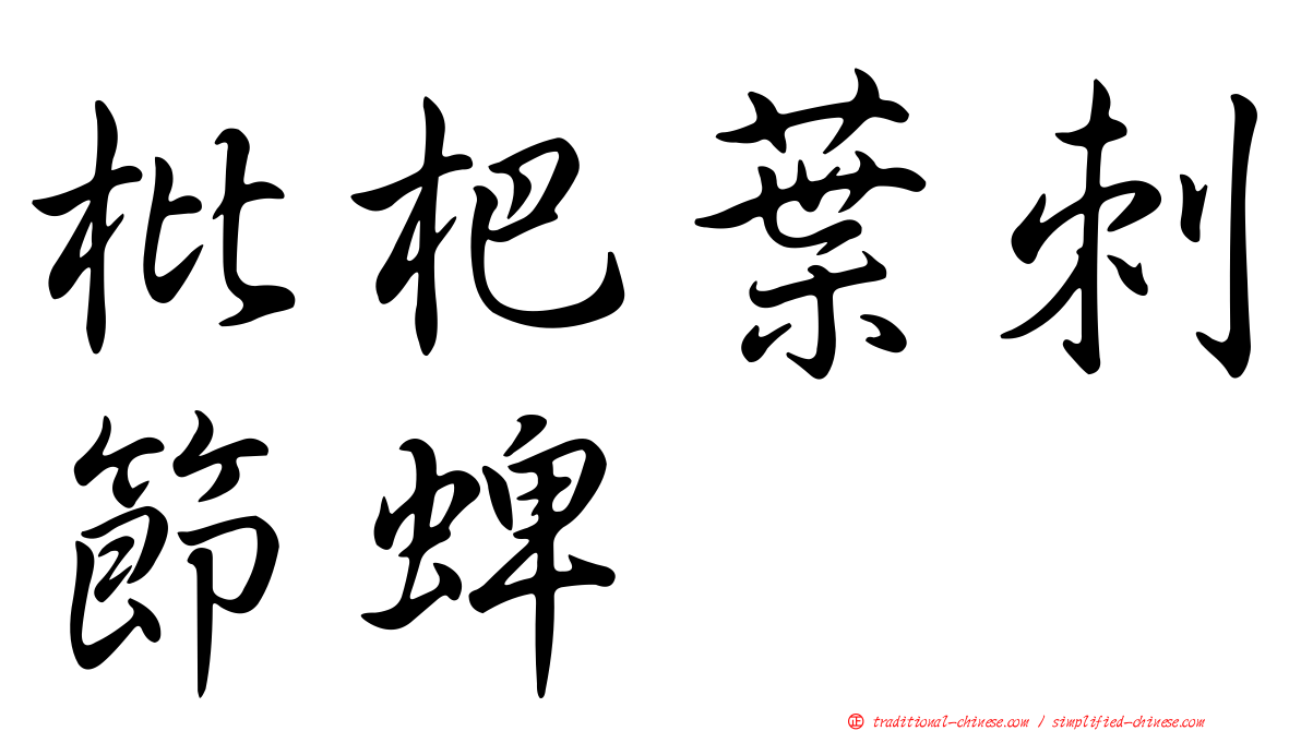 枇杷葉刺節蜱