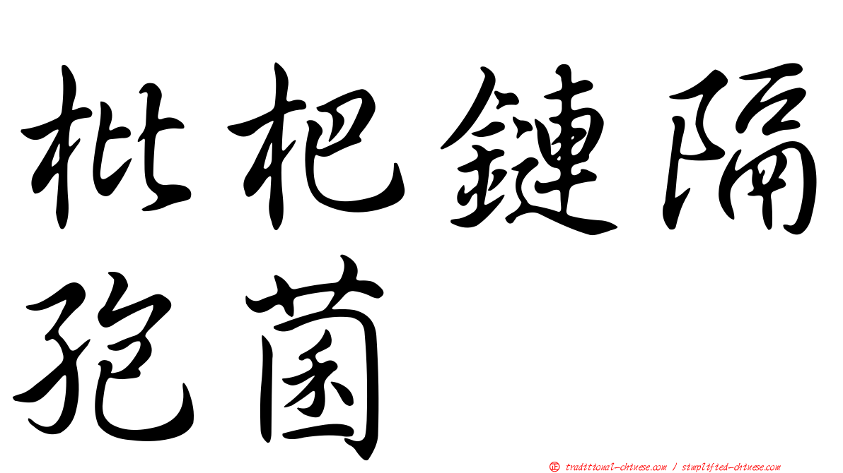 枇杷鏈隔孢菌