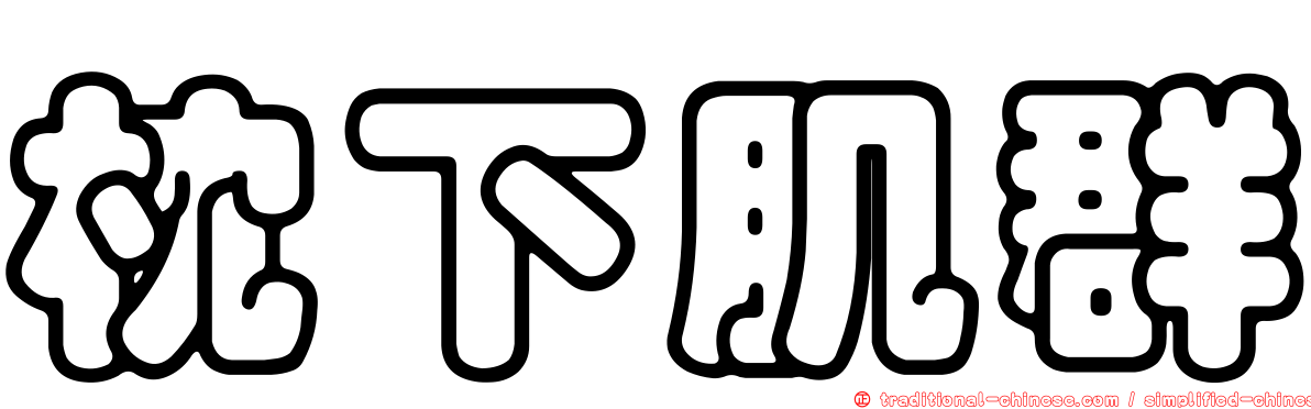 枕下肌群