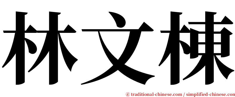 林文棟 serif font
