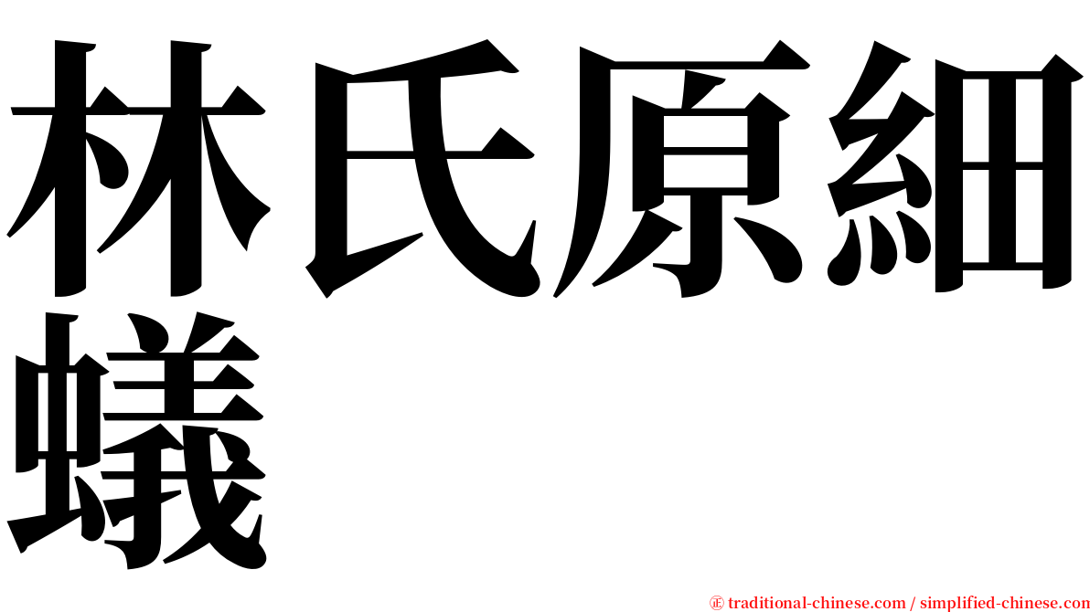 林氏原細蟻 serif font