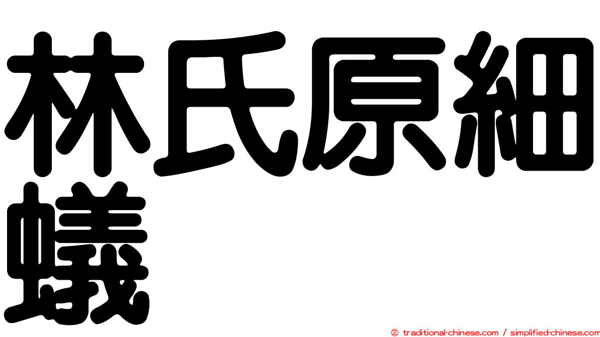 林氏原細蟻