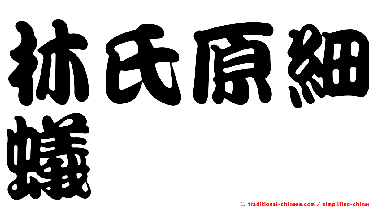 林氏原細蟻