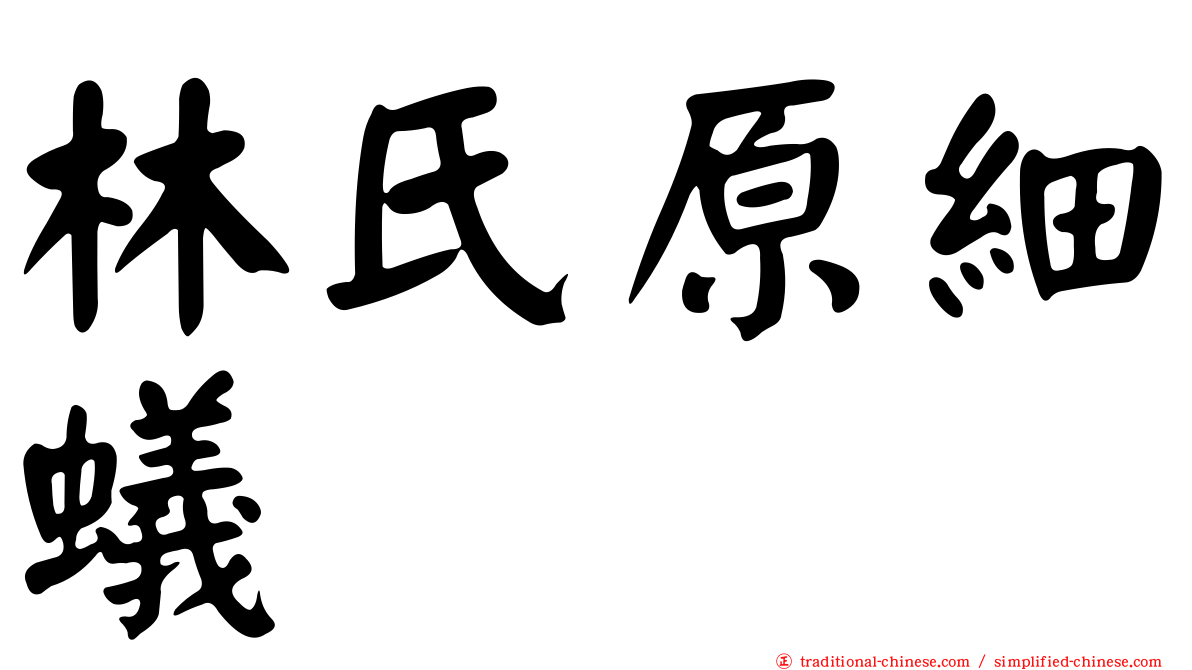 林氏原細蟻