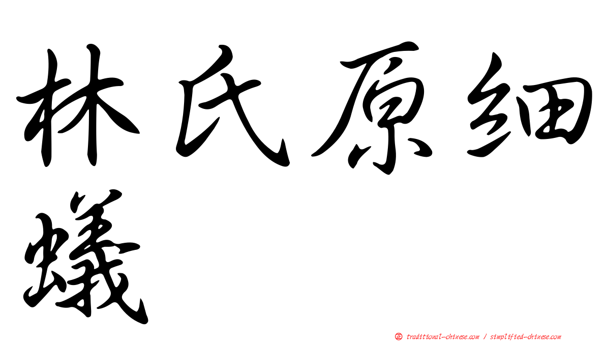 林氏原細蟻