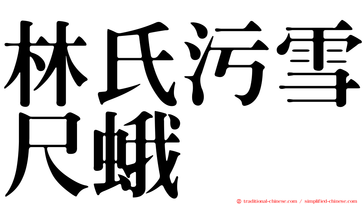 林氏污雪尺蛾