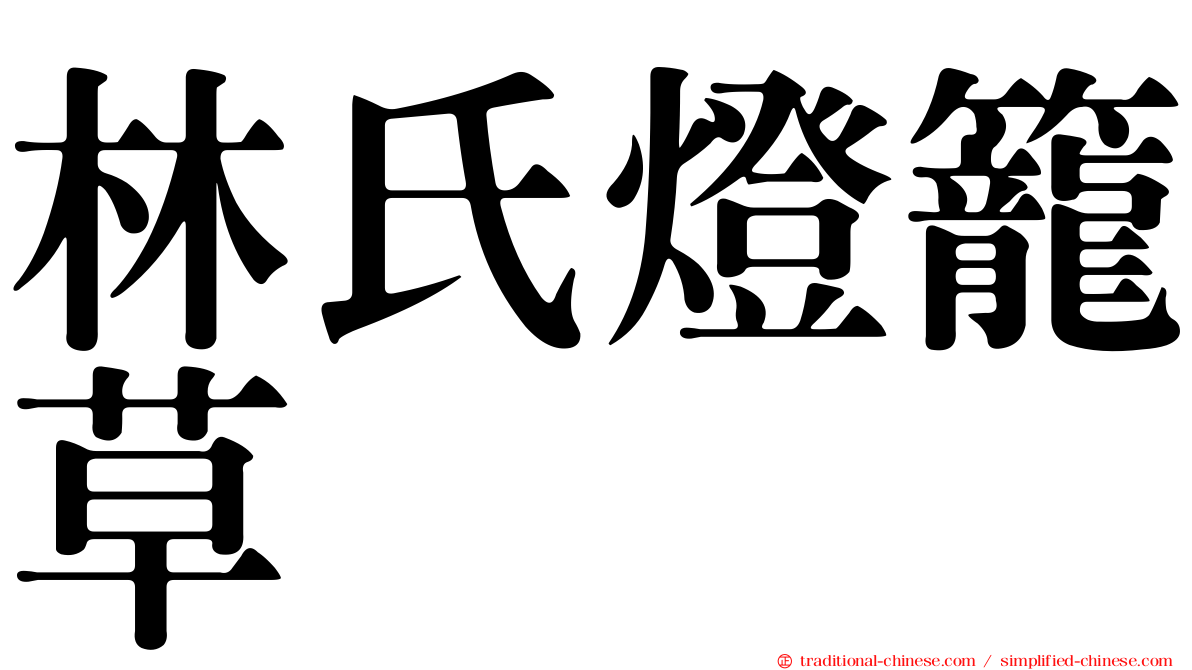 林氏燈籠草