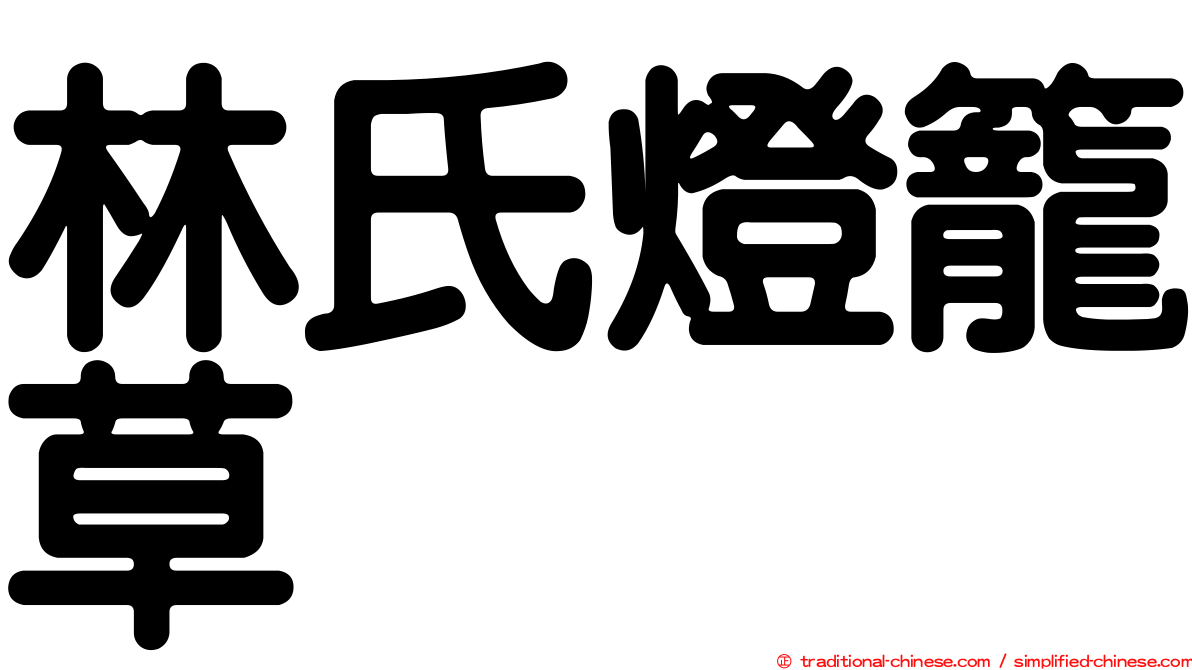 林氏燈籠草