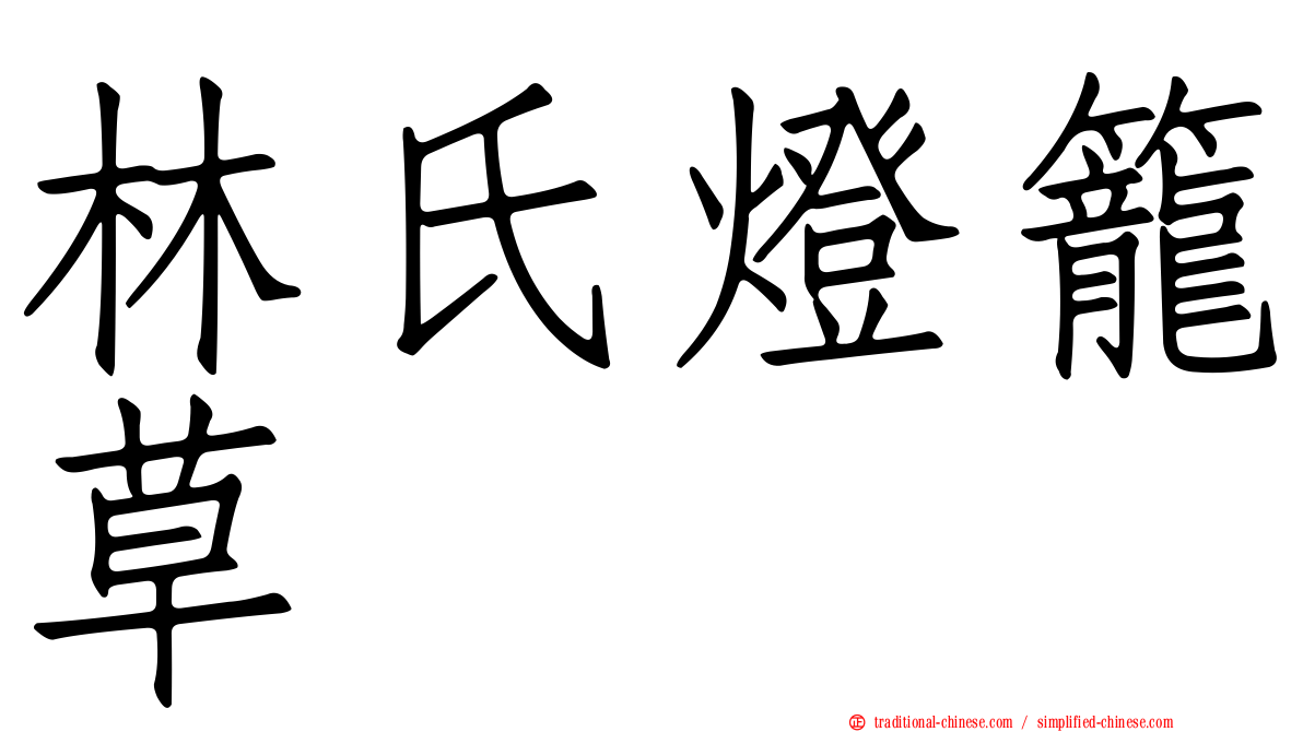 林氏燈籠草