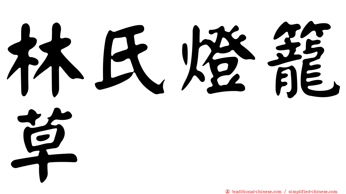 林氏燈籠草