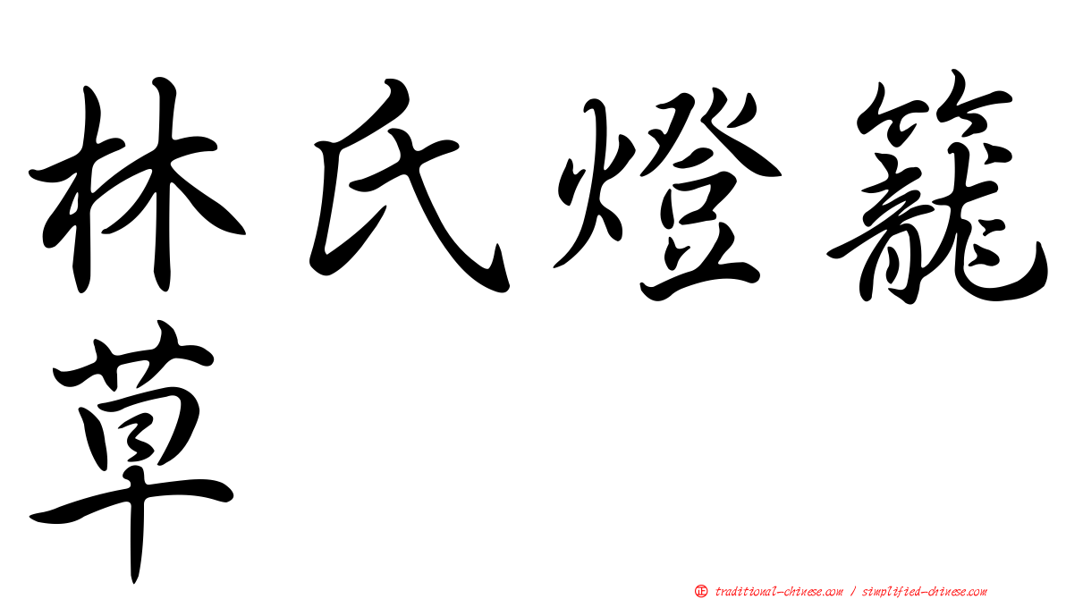 林氏燈籠草