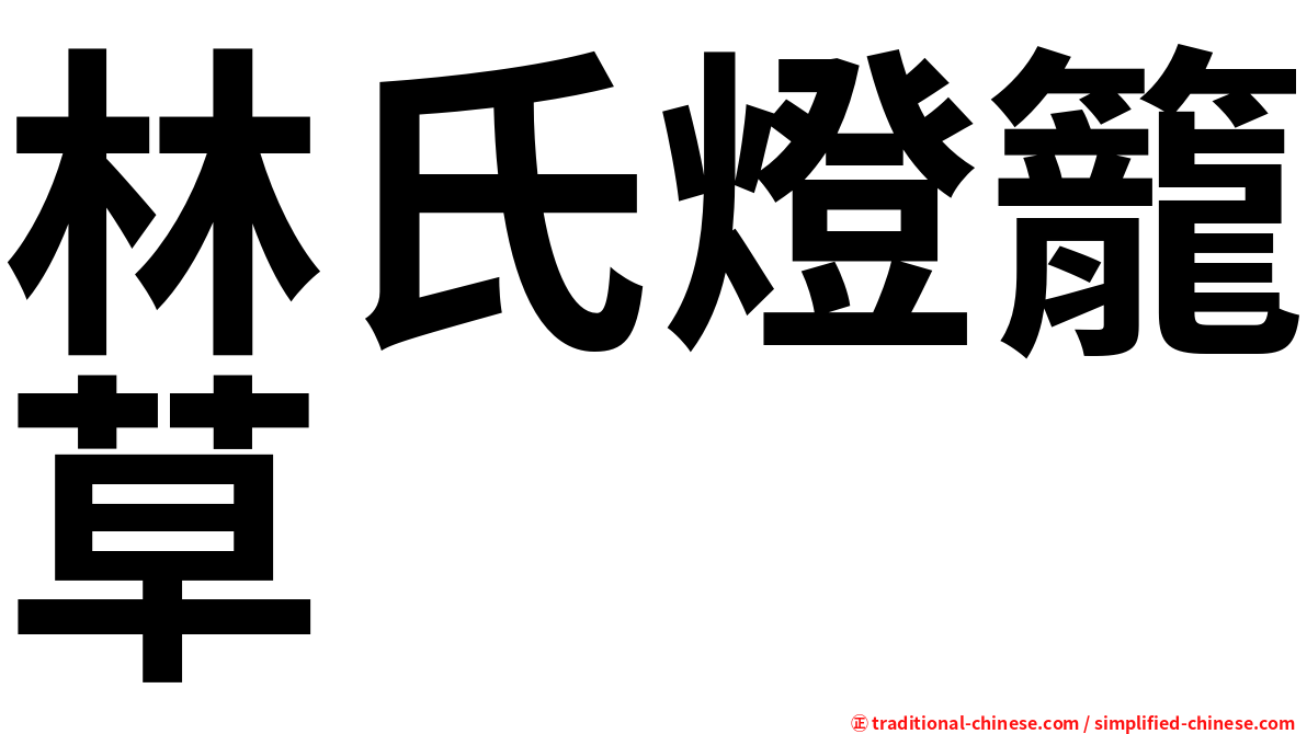林氏燈籠草