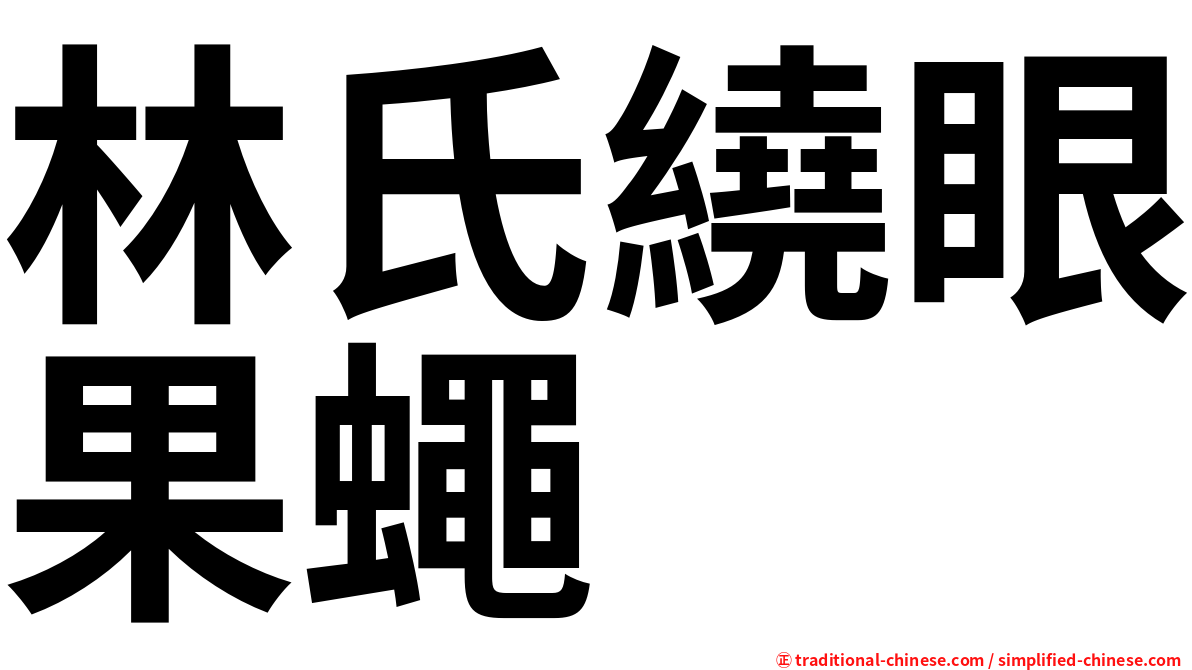林氏繞眼果蠅