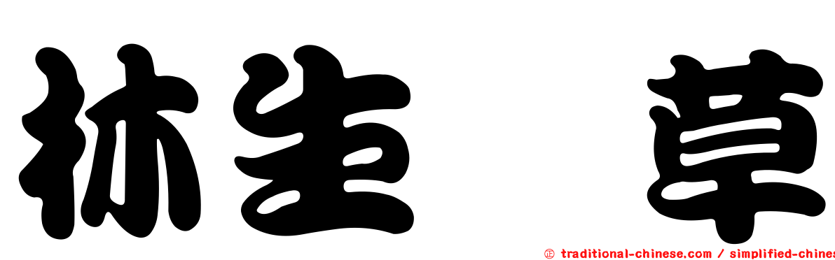 林生茜草