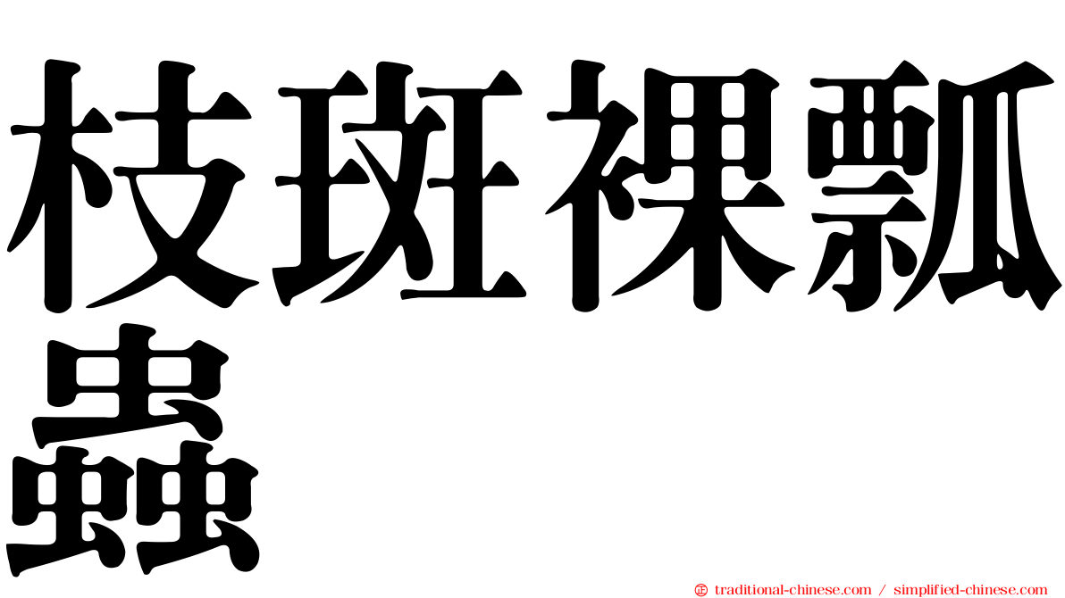 枝斑裸瓢蟲