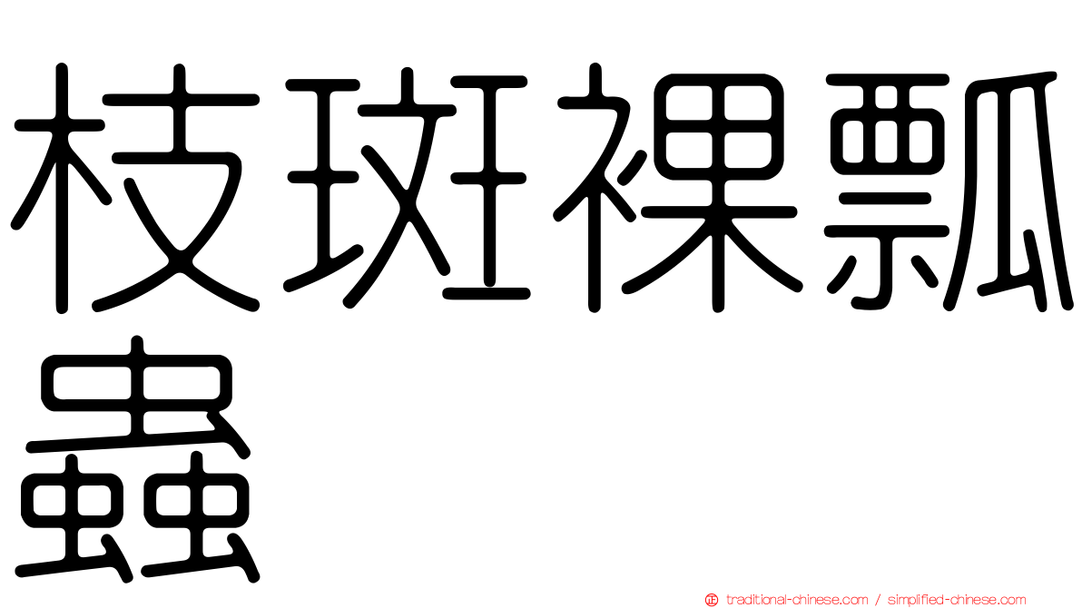 枝斑裸瓢蟲