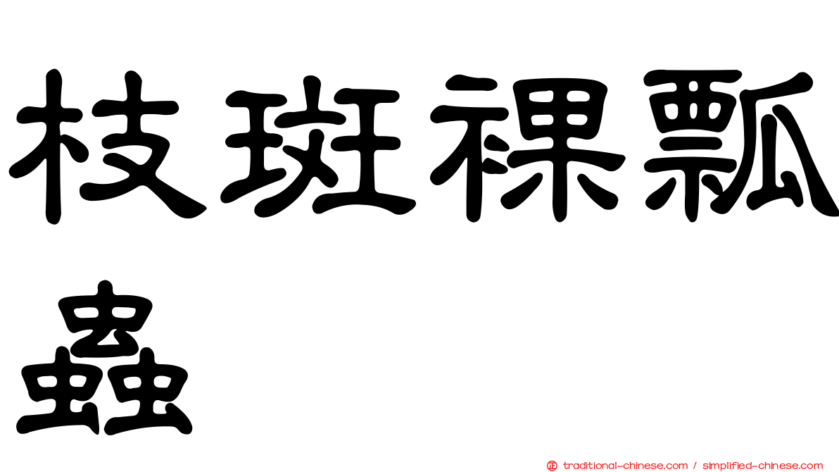 枝斑裸瓢蟲