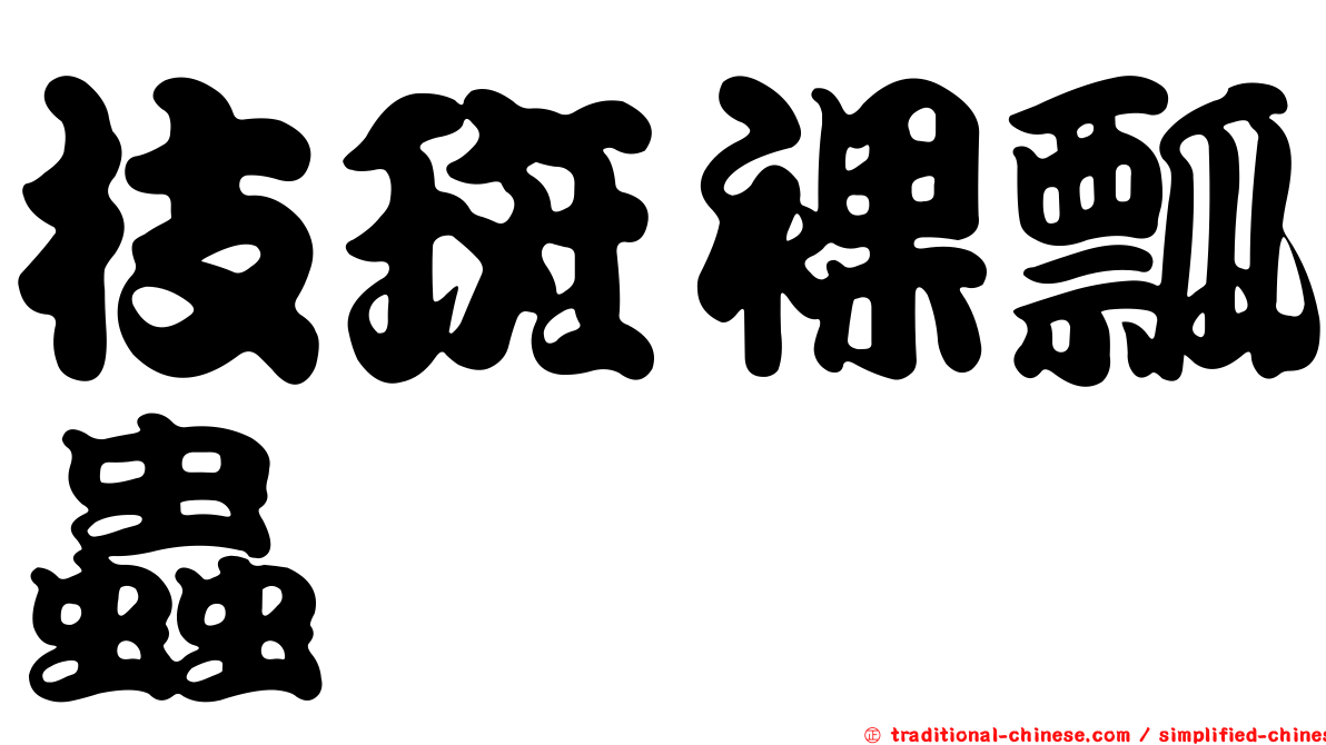枝斑裸瓢蟲