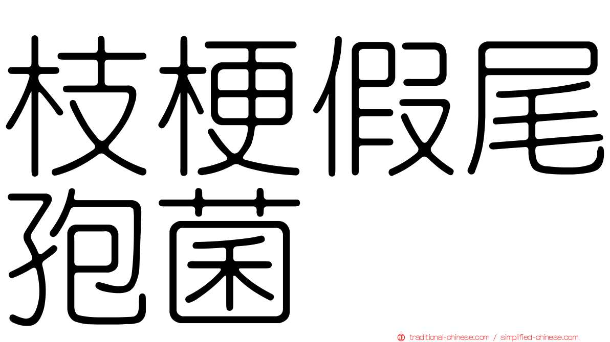 枝梗假尾孢菌