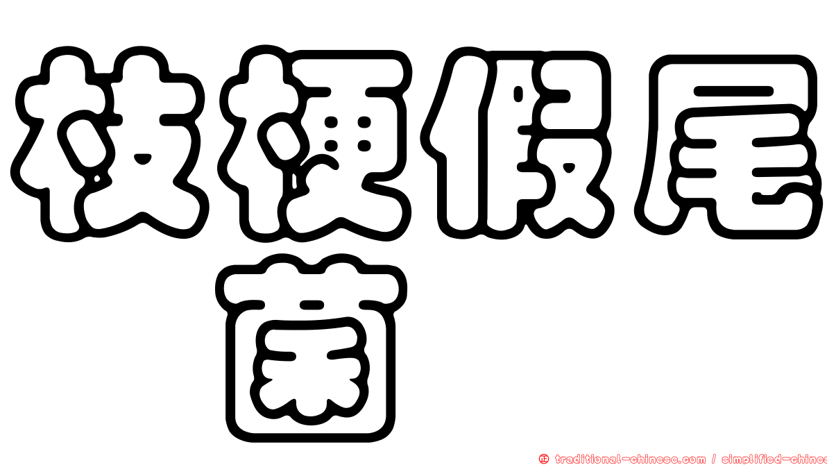 枝梗假尾孢菌