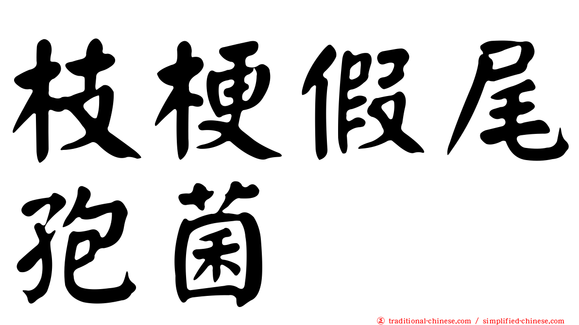 枝梗假尾孢菌