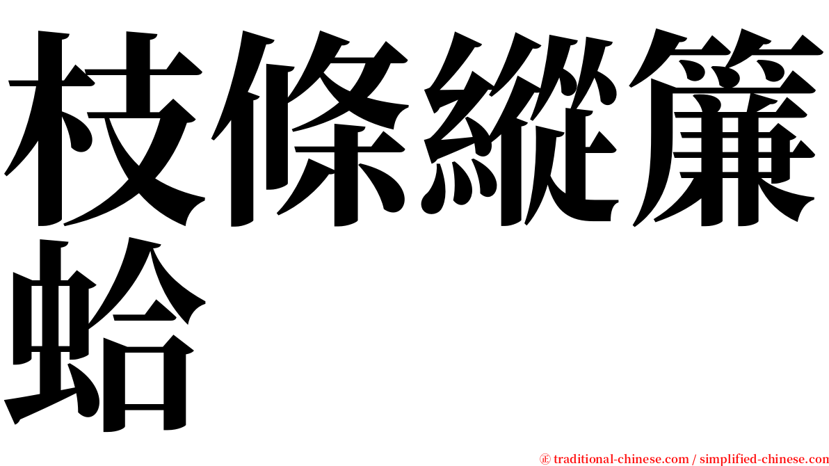 枝條縱簾蛤 serif font